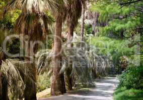 Arboretum of tropical and subtropical plants.