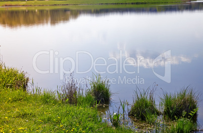 A large beautiful lake, with banks overgrown with reeds.