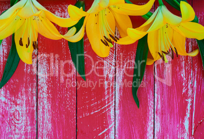 Three yellow lilies on ared wooden surface, top view