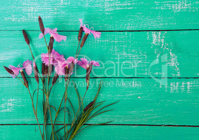 Bouquet of wild flowers carnation on the green wooden surface