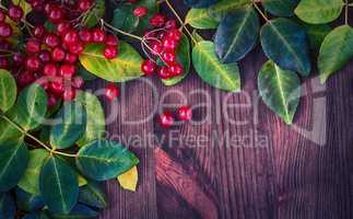 brown background with autumn leaves and bunches of Viburnum