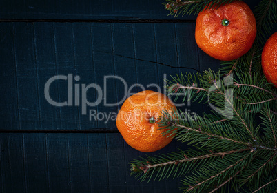 Mandarins with branch fir on a black wooden background