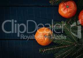 Mandarins with branch fir on a black wooden background