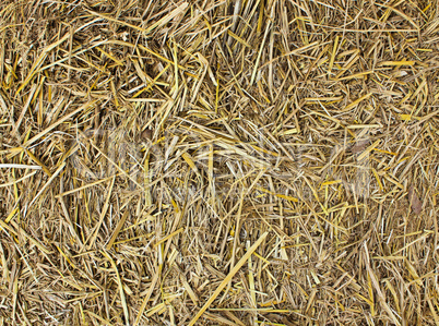 Hay seamless background.