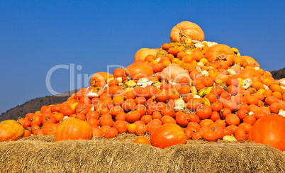 Pumpkins piled on bales of straw on a sunny day.