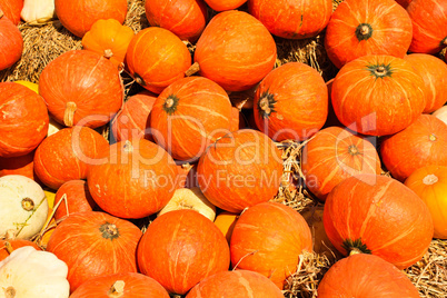 Pumpkins piled on bales of straw on a sunny day.
