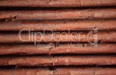 Old corrugated iron fence for background.