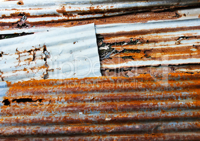 Old corrugated iron fence for background.