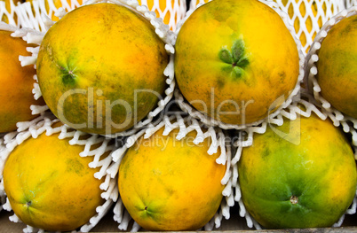 A pile of fresh green papayas in a basket.