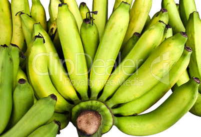 Bunch of bananas.