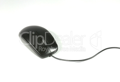 Black computer mouse with cable on white background.