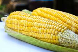Bright color sweet corn.