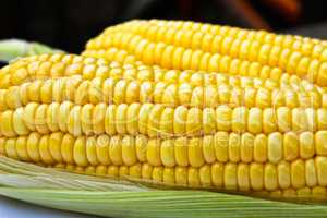 Bright color sweet corn.