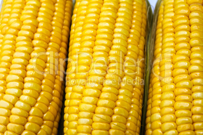 Bright color sweet corn.