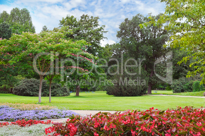 summer park with beautiful flowerbeds