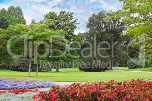 summer park with beautiful flowerbeds