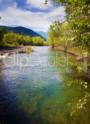 river and vegetation