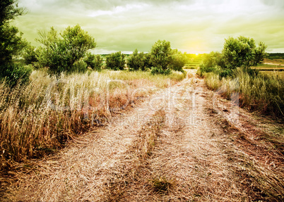 rural road landscape