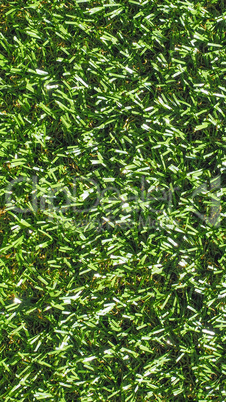 Artificial grass