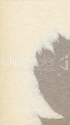Off white cardboard texture background - vertical