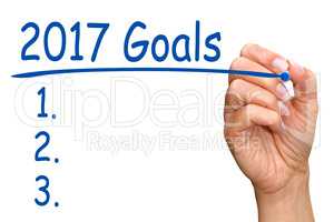 2017 Goals