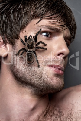Portrait of a Young Handsome Man with Spider on His Face