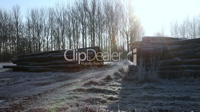 Frosty morning winter sunrise in countryside with path, trees and logs