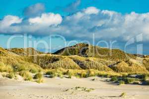 Landschaft mit Dünen auf der Insel Amrum