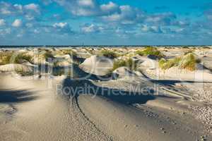 Landschaft mit Dünen auf der Insel Amrum