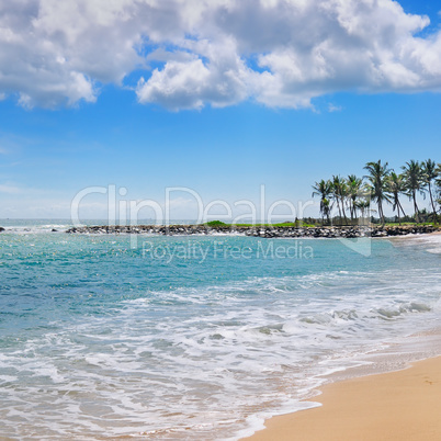 ocean, picturesque beach and blue sky