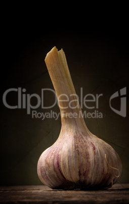 Food concept, organic garlic