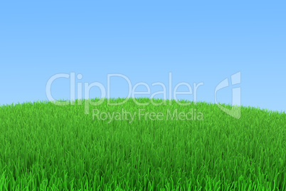 Green grass with blue sky