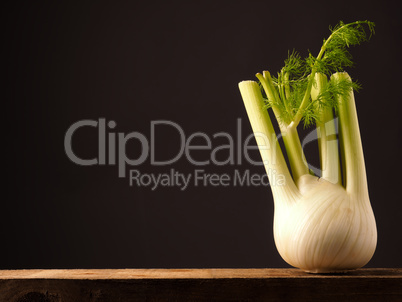 Fresh organic fennel on wood