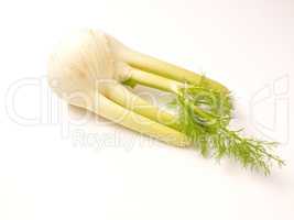 Fresh organic fennet on a table