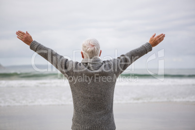 Rear view of senior man standing with arms outstretched on beach