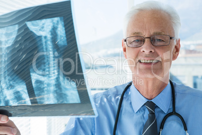 Portrait of doctor analyzing x-ray report