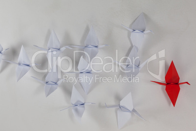 Paper cranes arranged together