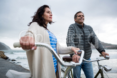 Couple standing with bicycle on beach