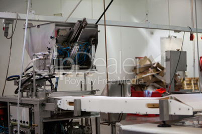 Meat processing machine