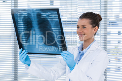 Female doctor examining x-ray report