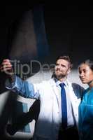 Doctor and nurse examining X-ray report