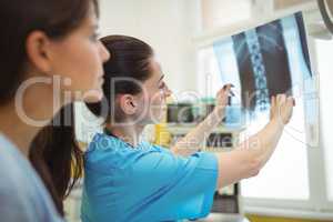 Female doctors examining x-ray