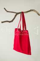 Red bag hanging on a tree branch