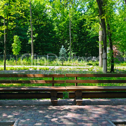 benches for relaxing in the cozy city park
