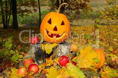 pumpkin-head against a background of an autumn forest