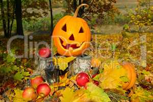 pumpkin-head against a background of an autumn forest