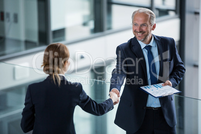 Businessman shaking hands with his colleague