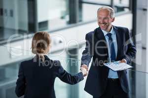 Businessman shaking hands with his colleague