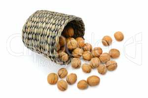 walnuts in a basket isolated on white background