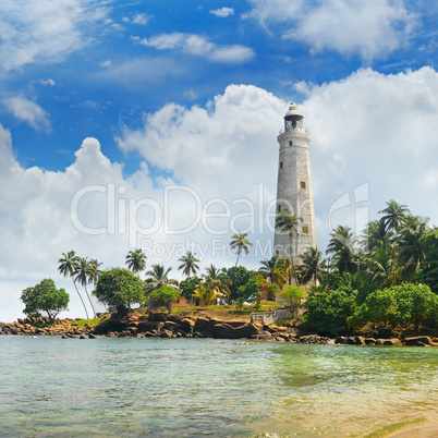 lighthouse, lagoon and tropical palms (Matara Sri Lanka)